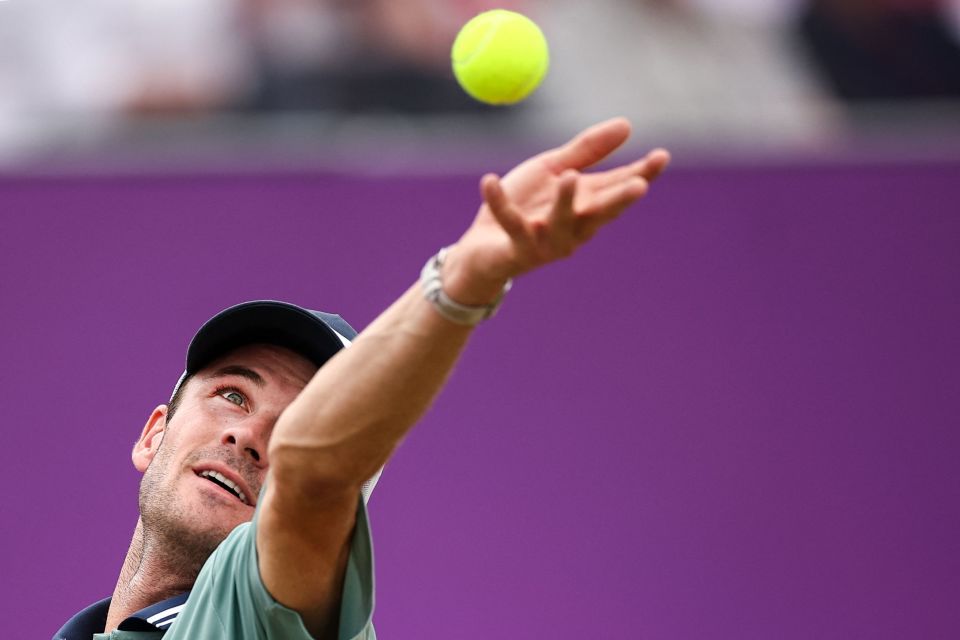 探讨奥尔莫 探讨奥尔莫