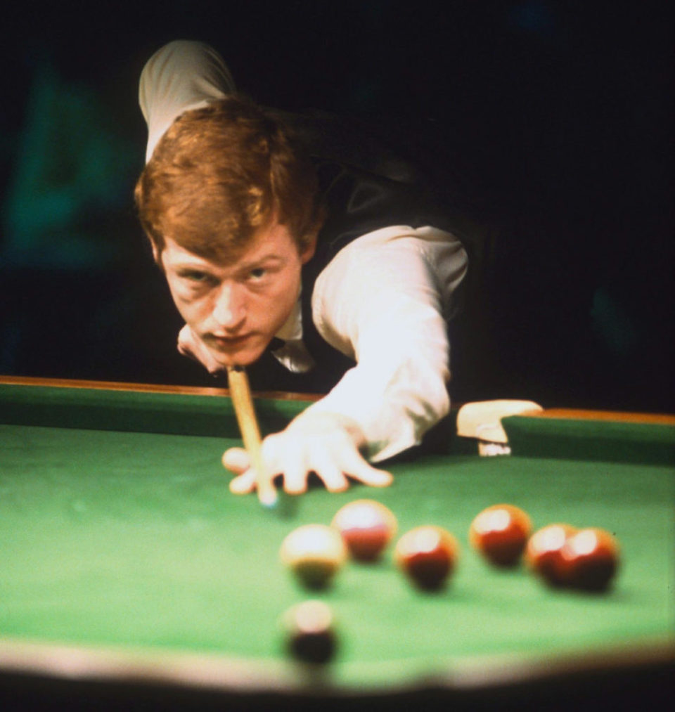 他们聘请了 他们聘请了